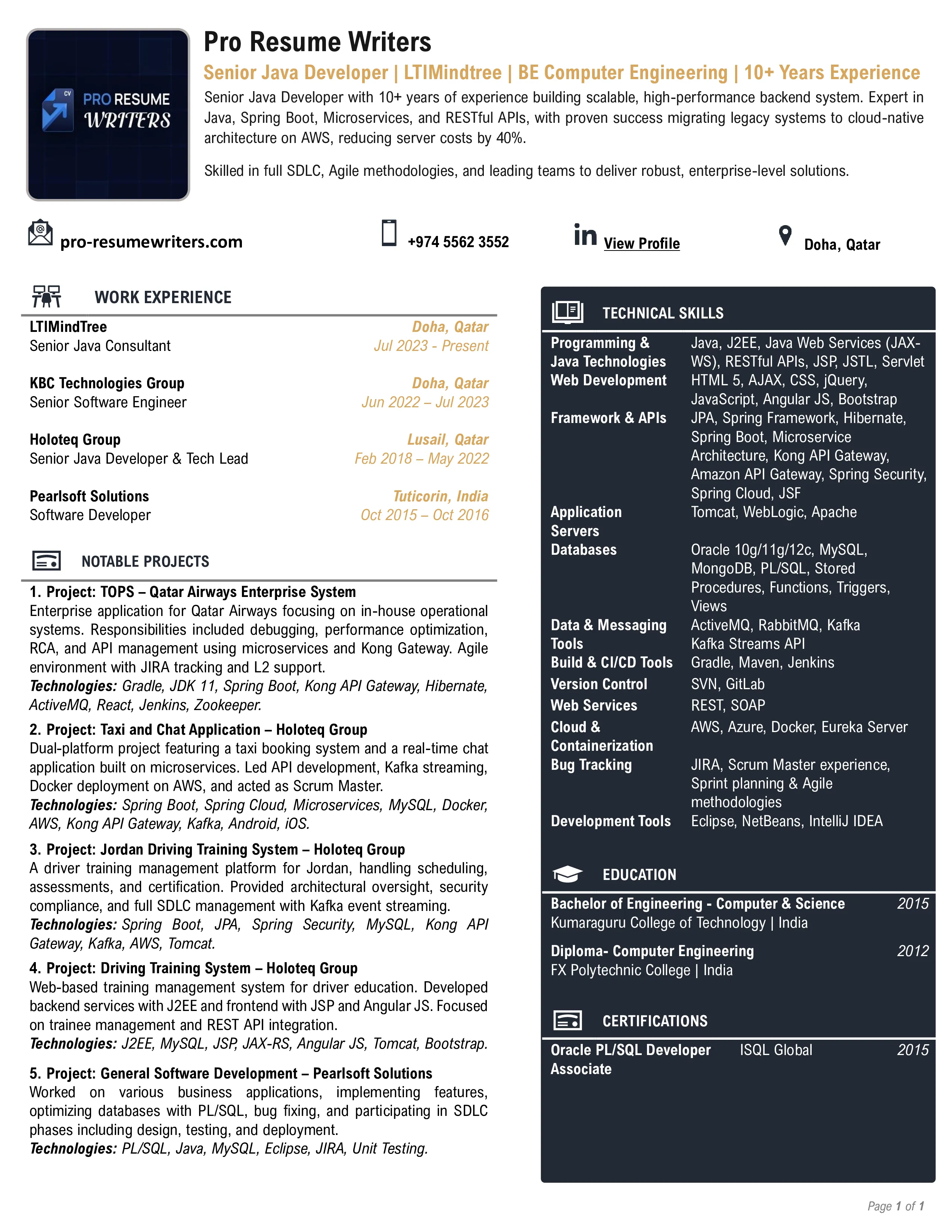 IT Professional Resume