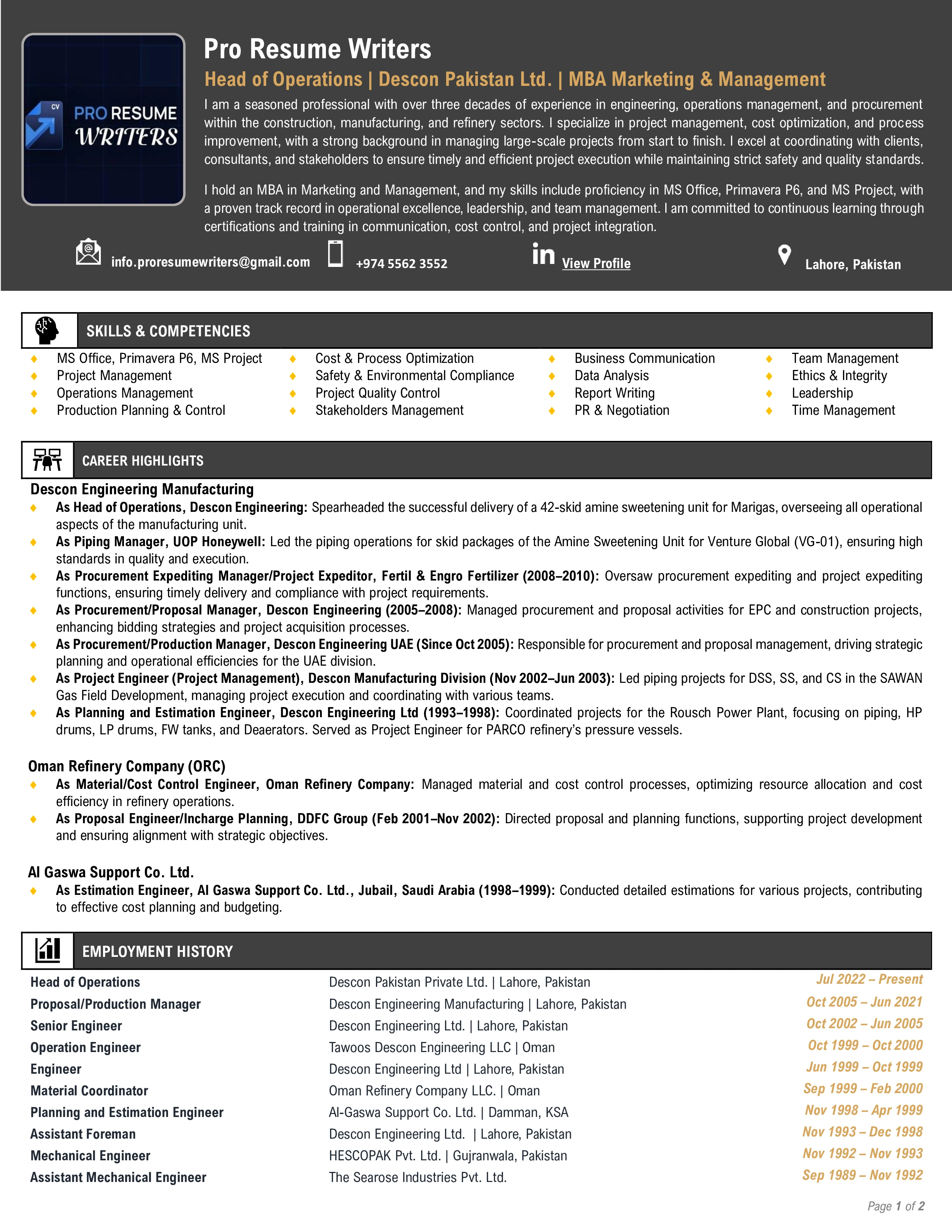 Modest Professional Resume